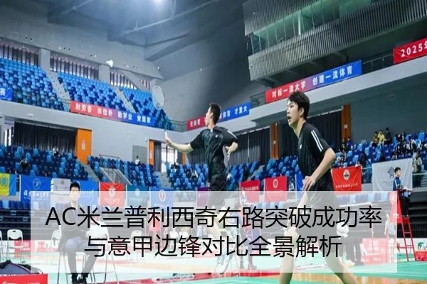 AC米兰普利西奇右路突破成功率与意甲边锋对比全景解析 | leyu